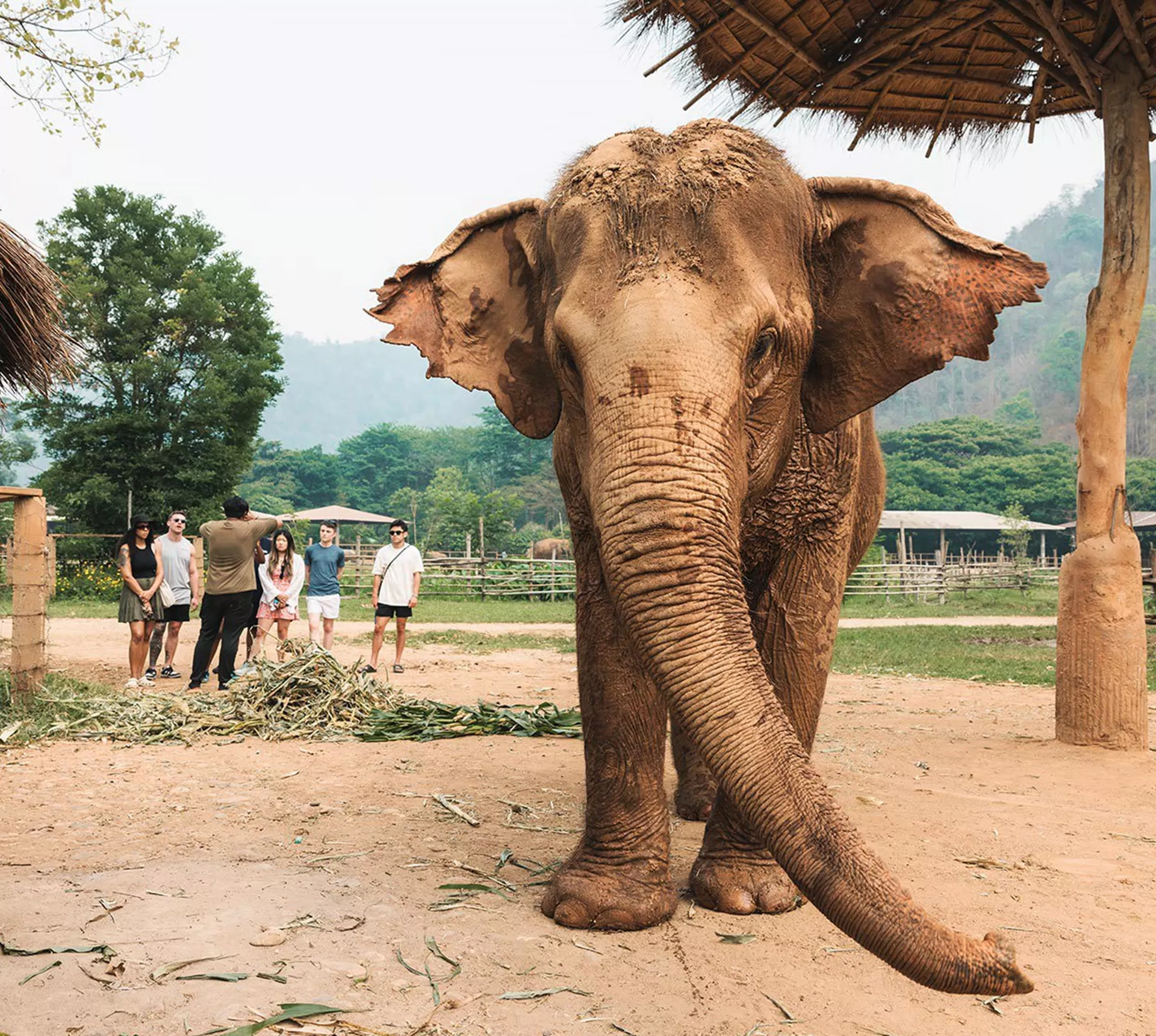 Bangkok to Luang Prabang Trip