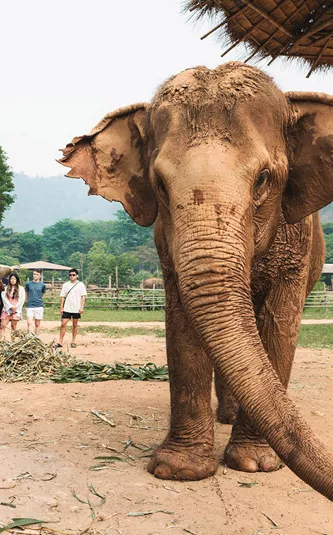 Bangkok to Luang Prabang Trip