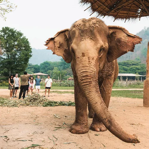 Bangkok to Luang Prabang Trip