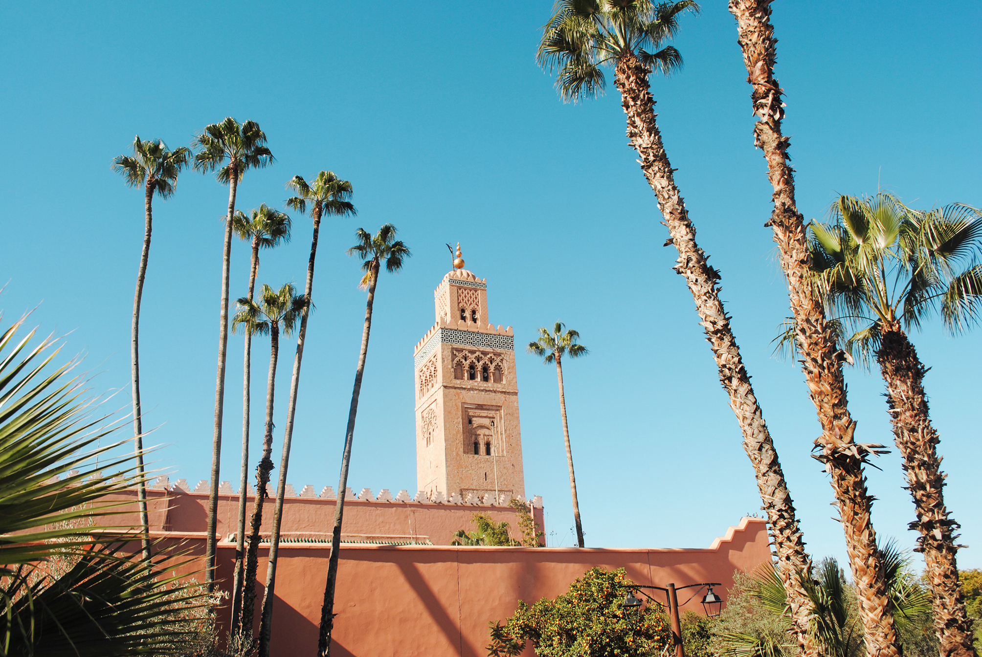 Best of Morocco Trip