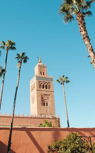 Best of Morocco Trip