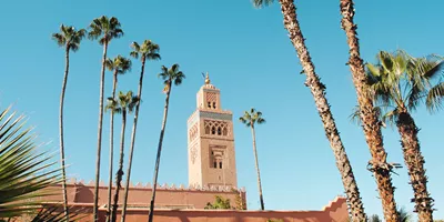 Best of Morocco Trip