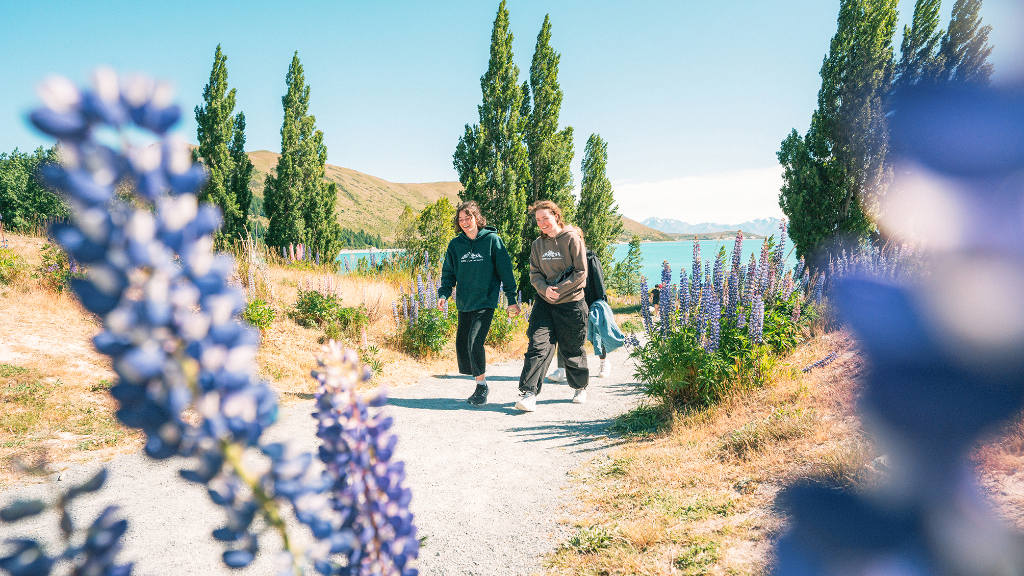 New Zealand Sweet As South Westbound Trip