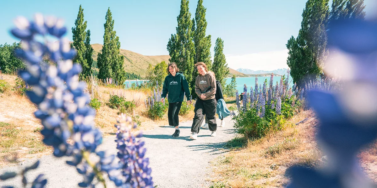 New Zealand Sweet As South Westbound Trip