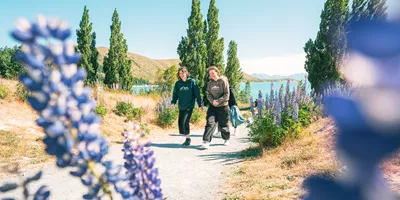 New Zealand Sweet As South Westbound Trip