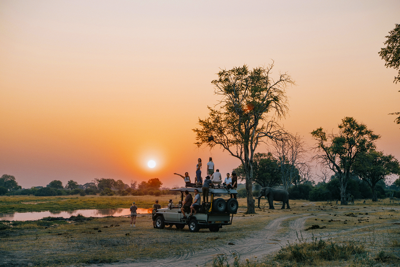 Okavango Delta and Deserts Reunion 35-45 Trip