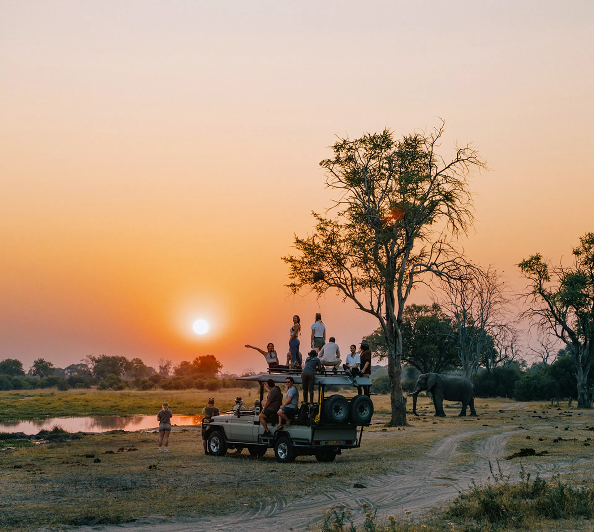 Okavango Delta and Deserts Reunion 35-45 Trip