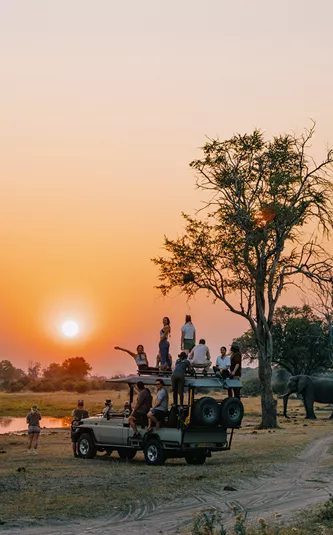 Okavango Delta and Deserts Reunion 35-45 Trip