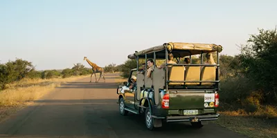 the world best tour Southern Africa Safari Trip