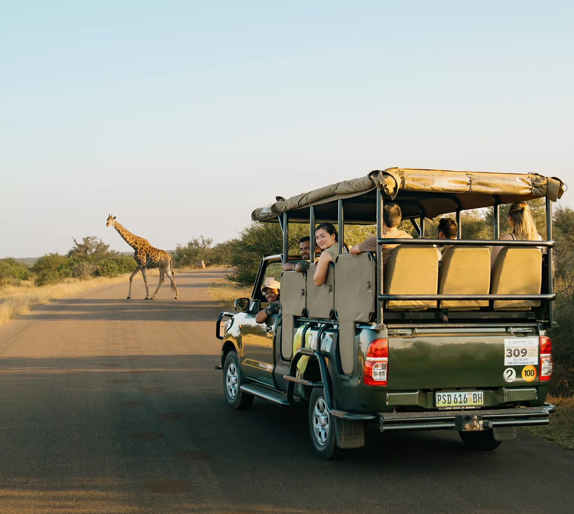 Southern Africa Safari Trip