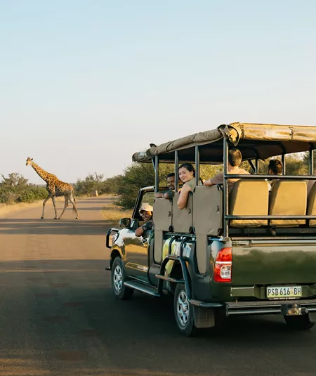 Southern Africa Safari Trip