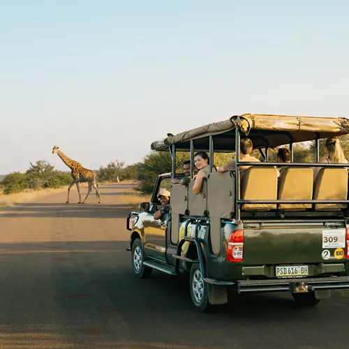 Southern Africa Safari Trip
