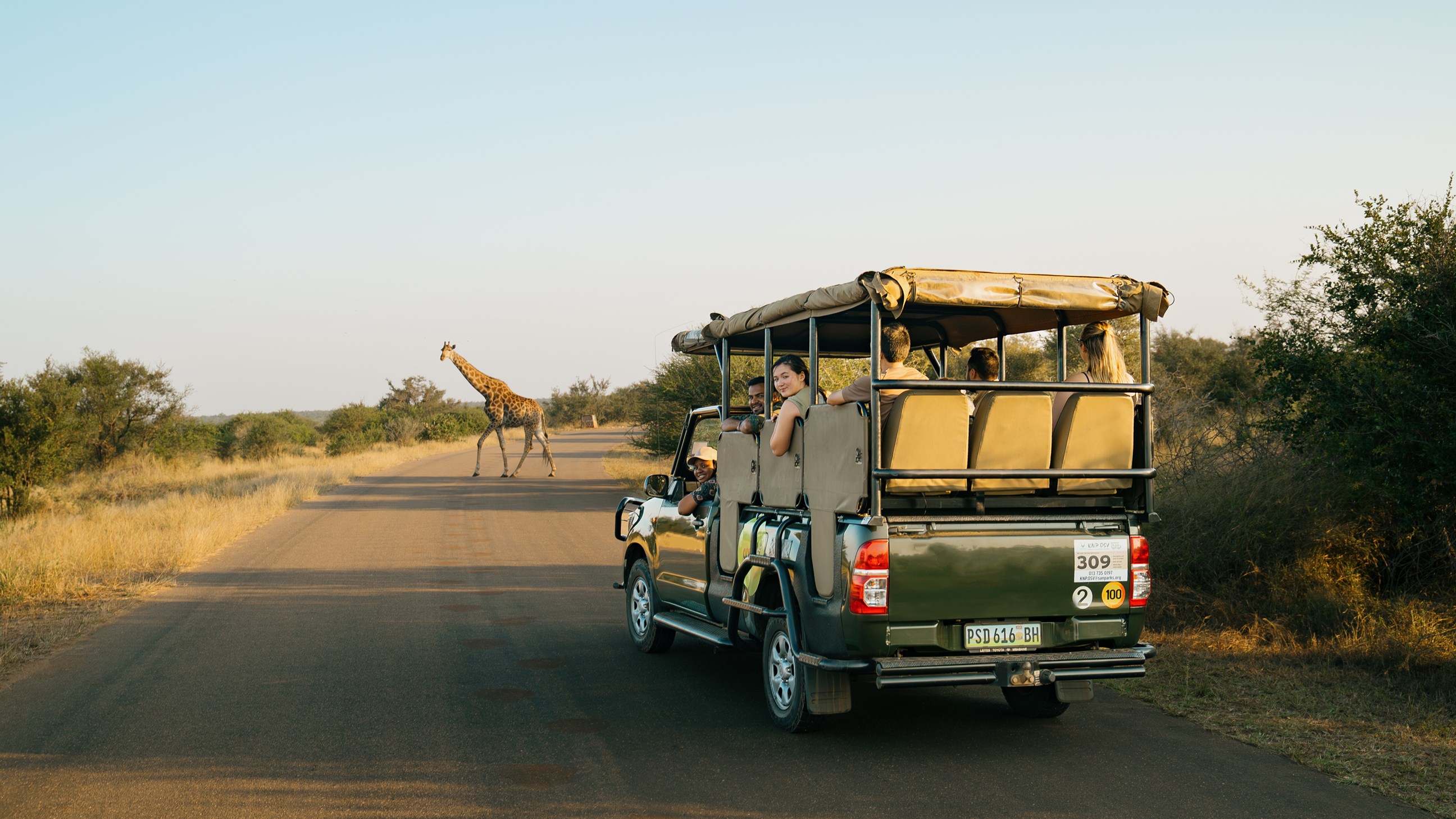 Southern Africa Safari