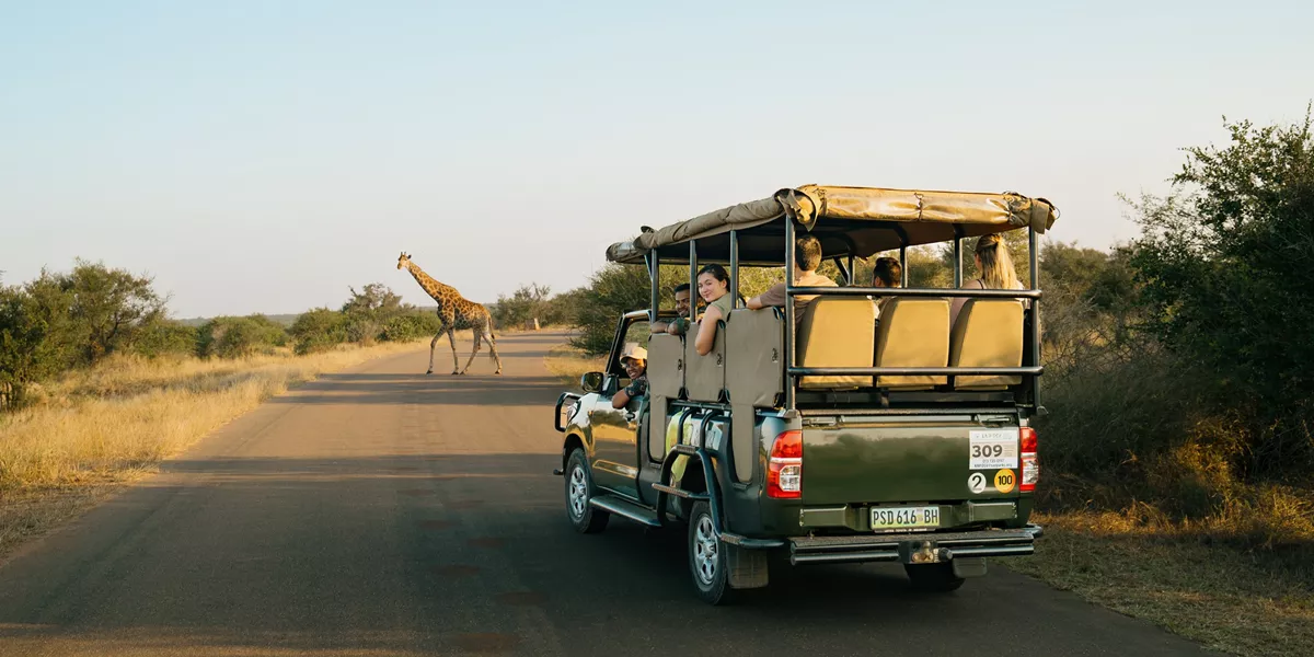 Southern Africa Safari Trip