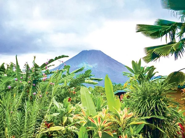 Willwks arenal volcano, Costa Rica.