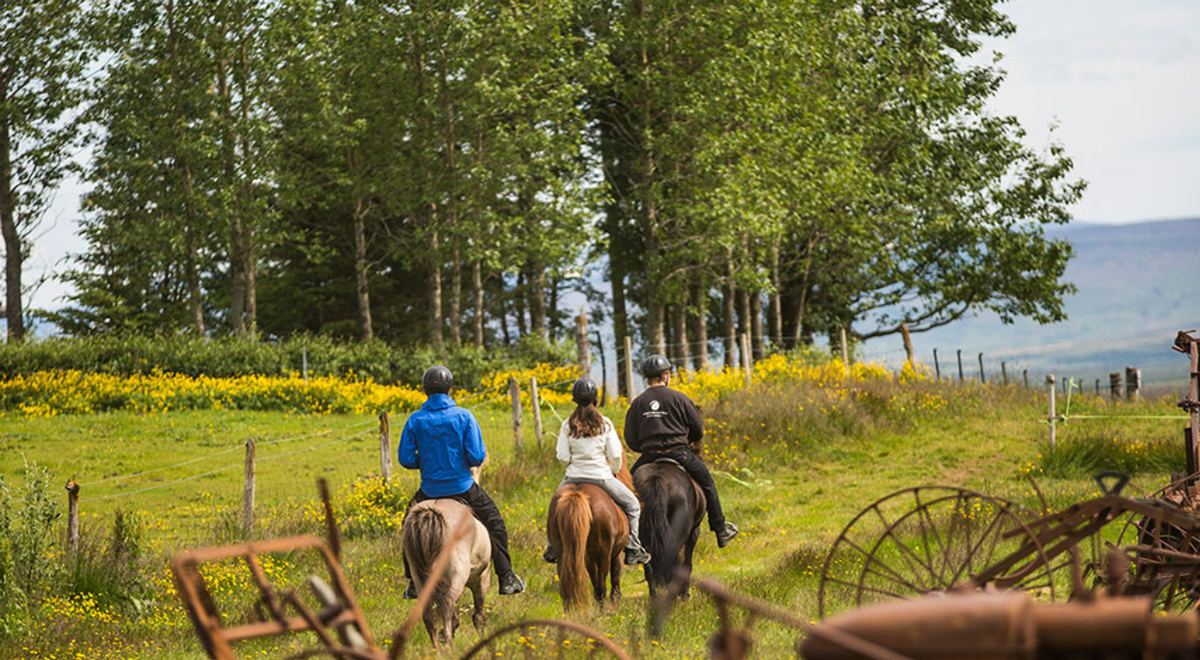 Friends Riding Horse In A Green Field