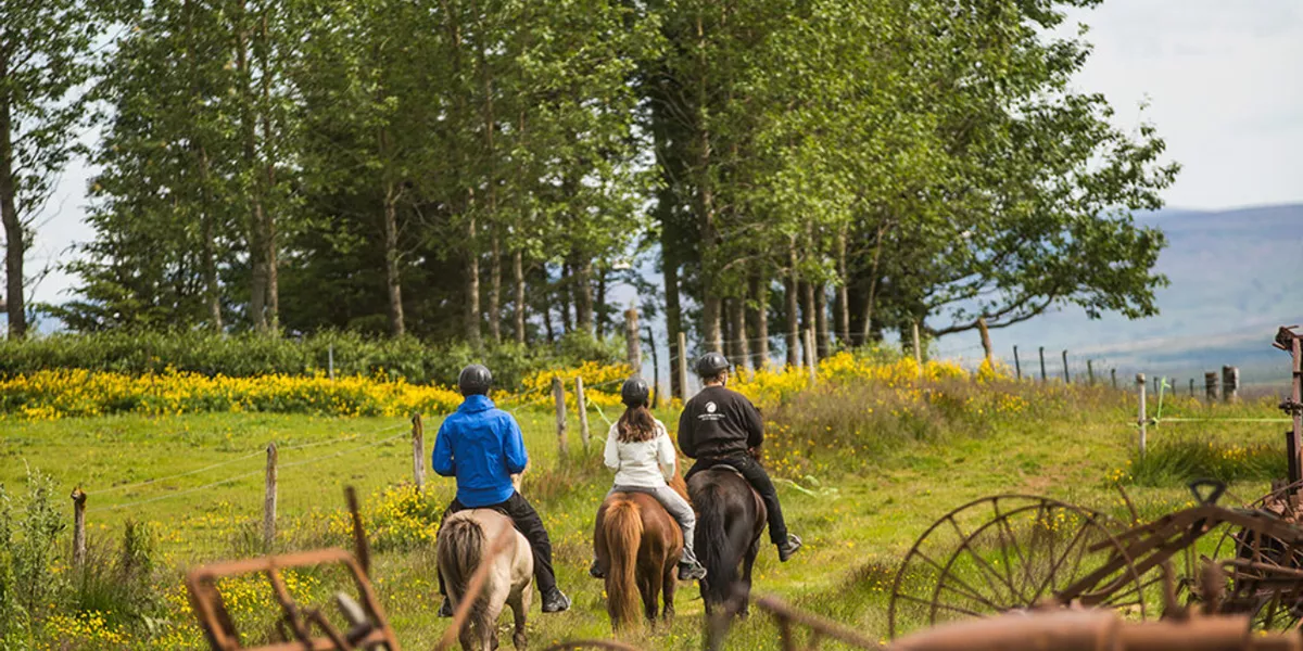 Friends Riding Horse In A Green Field