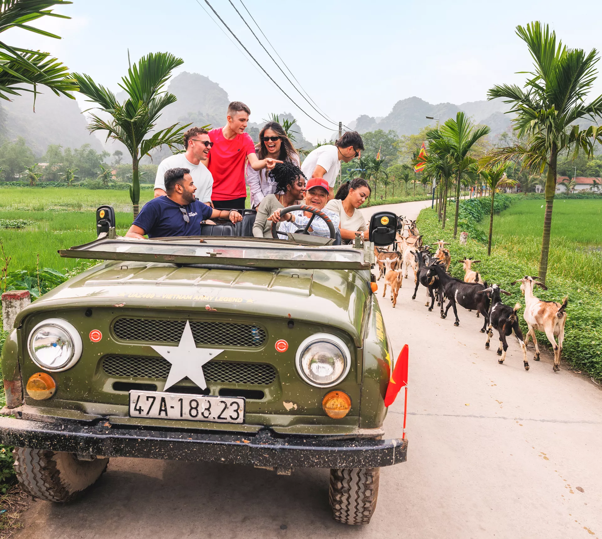 Vietnam Experience with Ha Giang Loop Trip