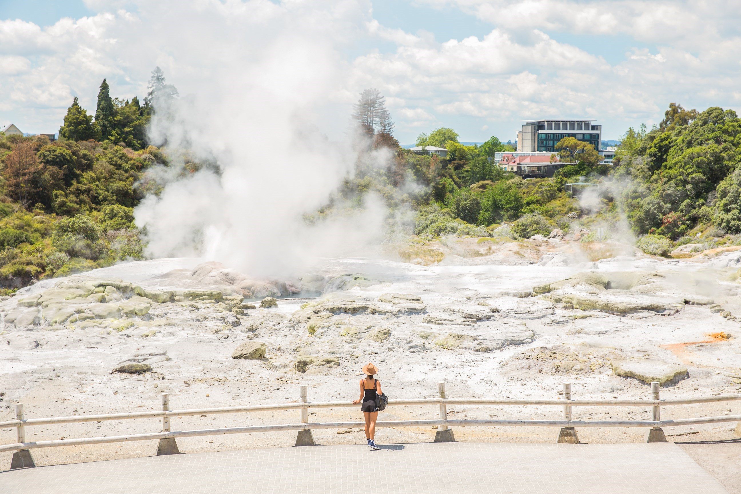 See Mud Pools in Rotorua 