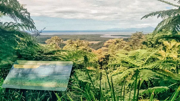 View of the tropical forests in Walu Wugirriga