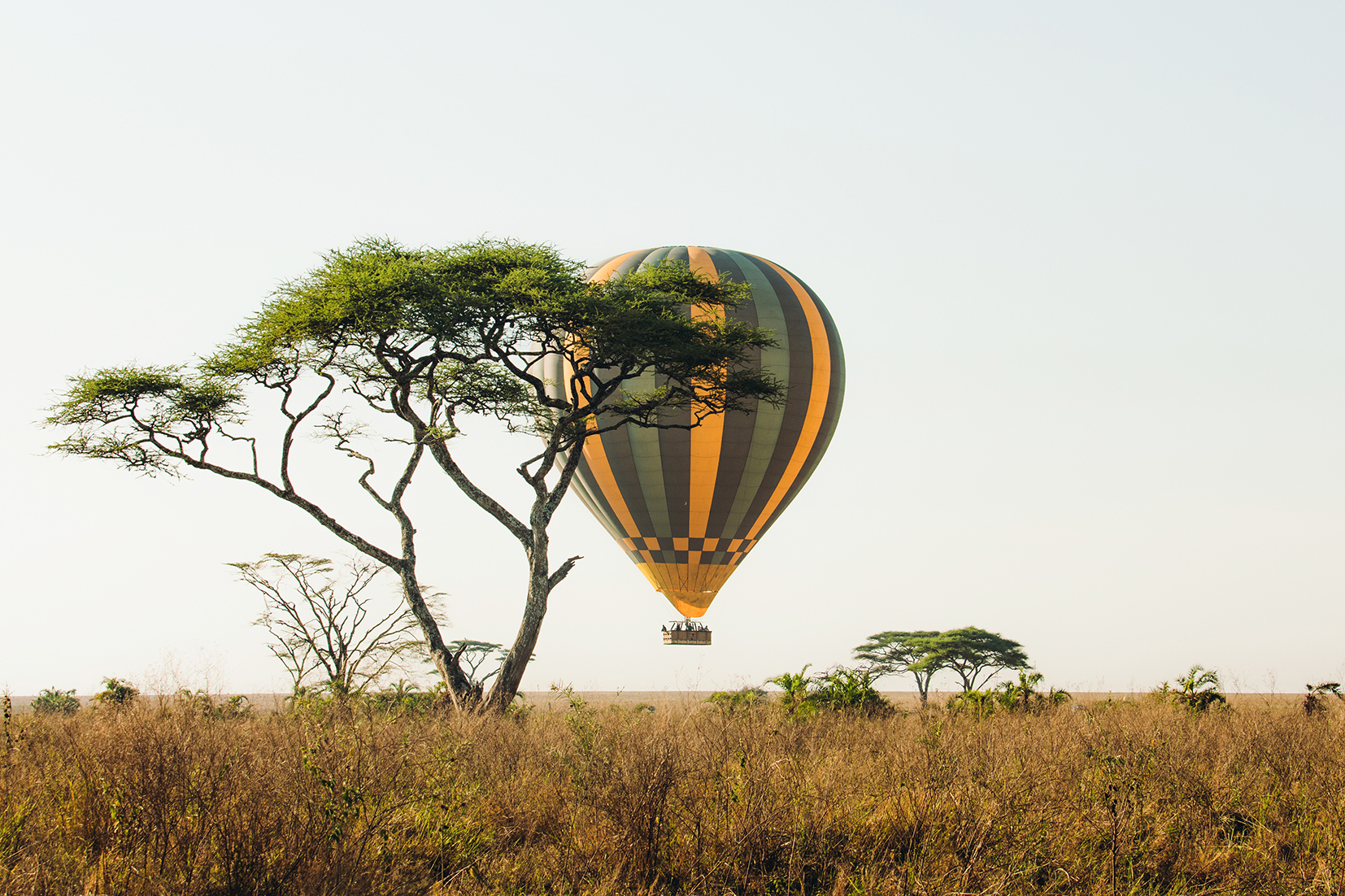 Kenya and Tanzania Adventure