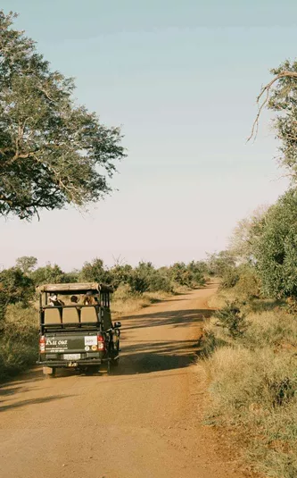 Safari vehicle driving through the South African bush on a game drive during Contiki's Cape Town to Kruger Safari Tour