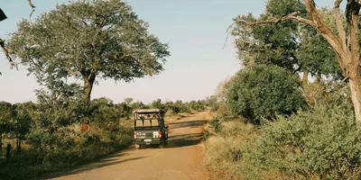 Safari vehicle driving through the South African bush on a game drive during Contiki's Cape Town to Kruger Safari Tour