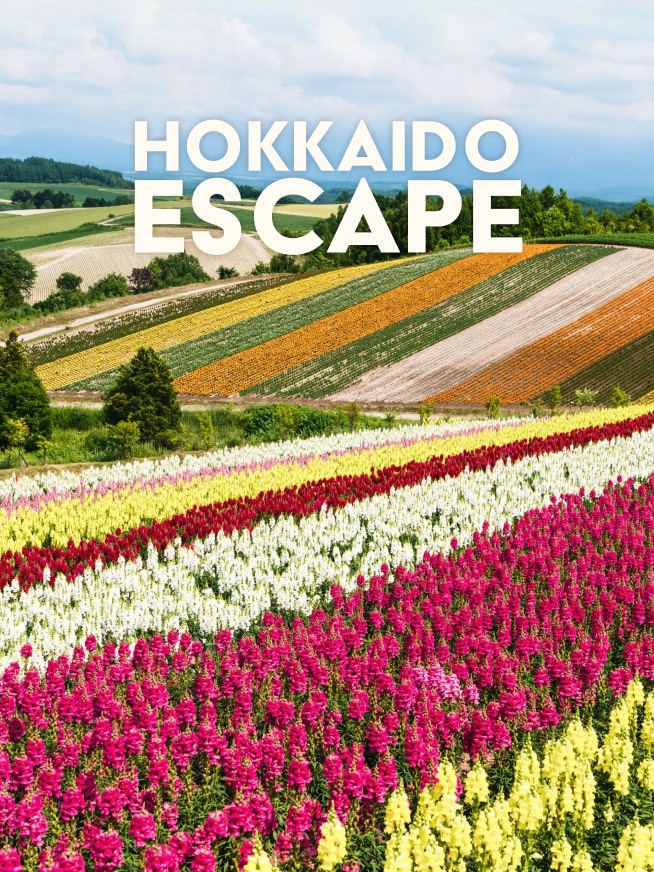 Hokkaido Escape Tour