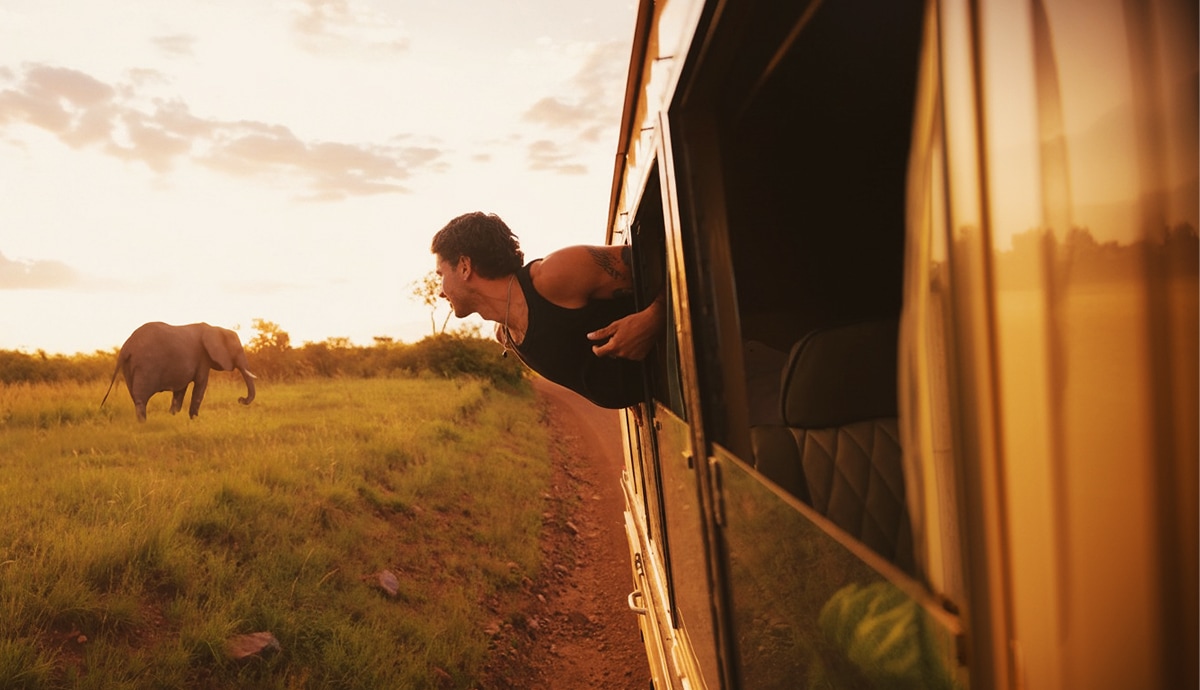 Traveller Safari Observe Elephant Out Vehicle Window Kenya