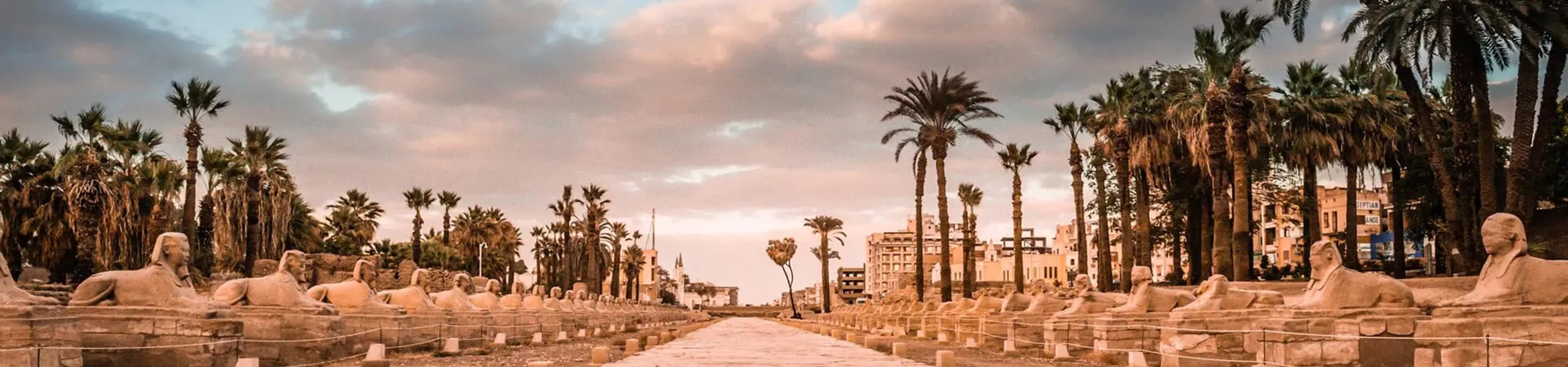 Palm Trees around Egyptian sculptures, Africa