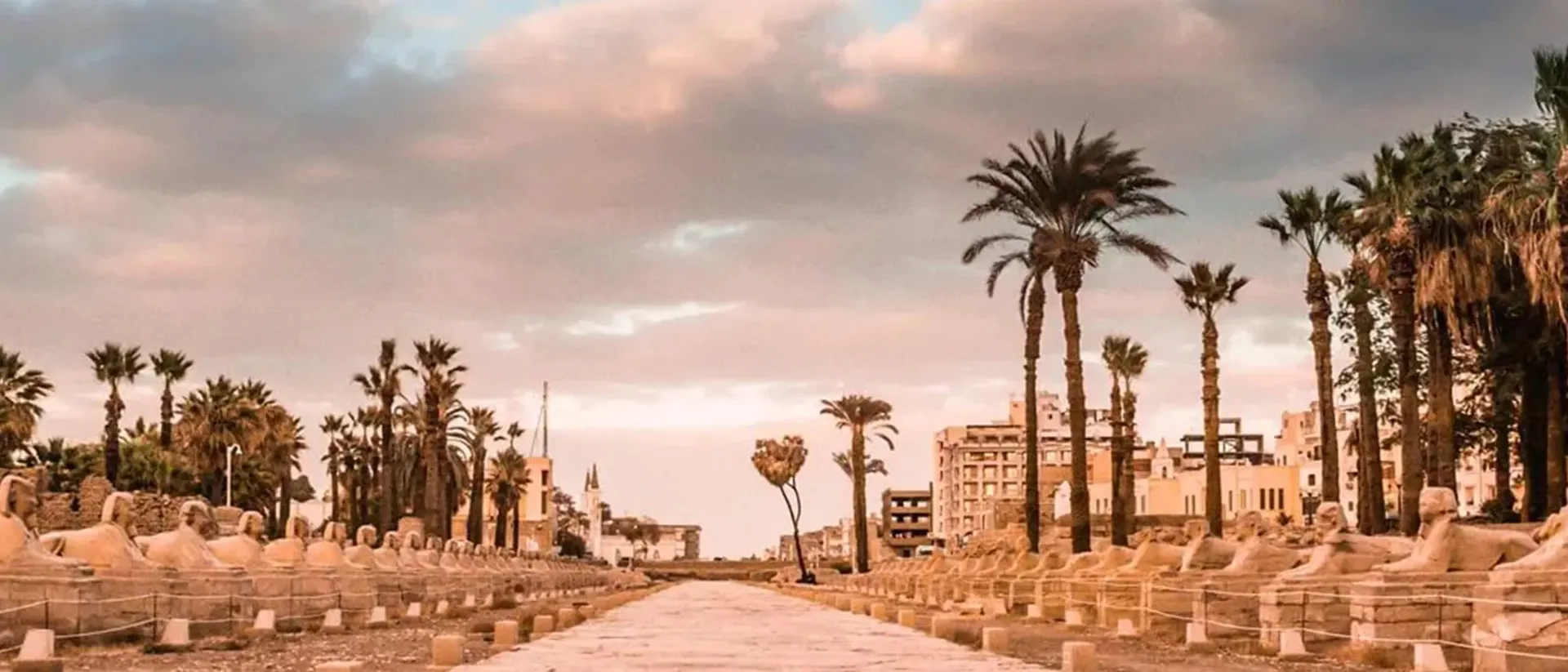 Palm Trees around Egyptian sculptures, Africa