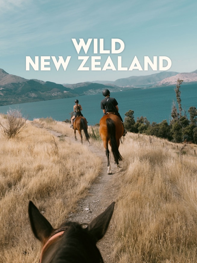 Wild New Zealand Tour