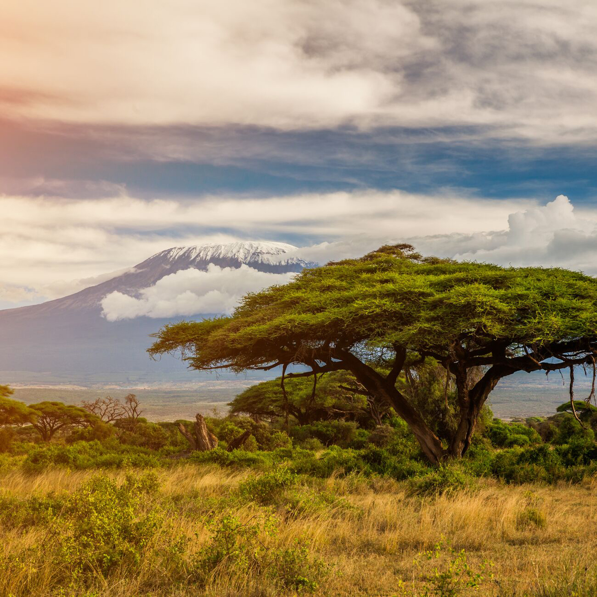 Mount Kilimanjaro Kenya