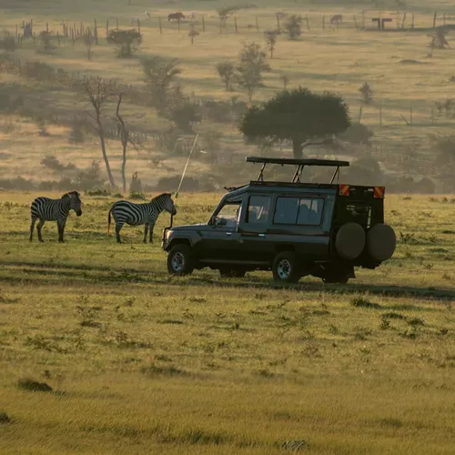 Best of Uganda and Kenya 35 to 45 Trip