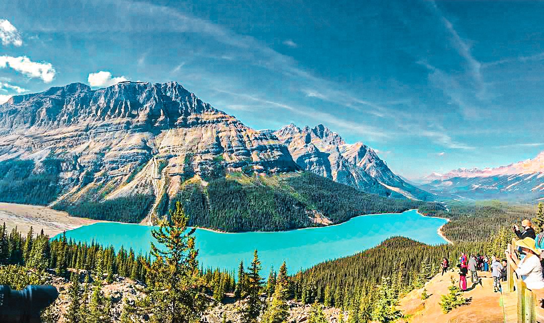 Chill at Peyto Lake (Seasonal)