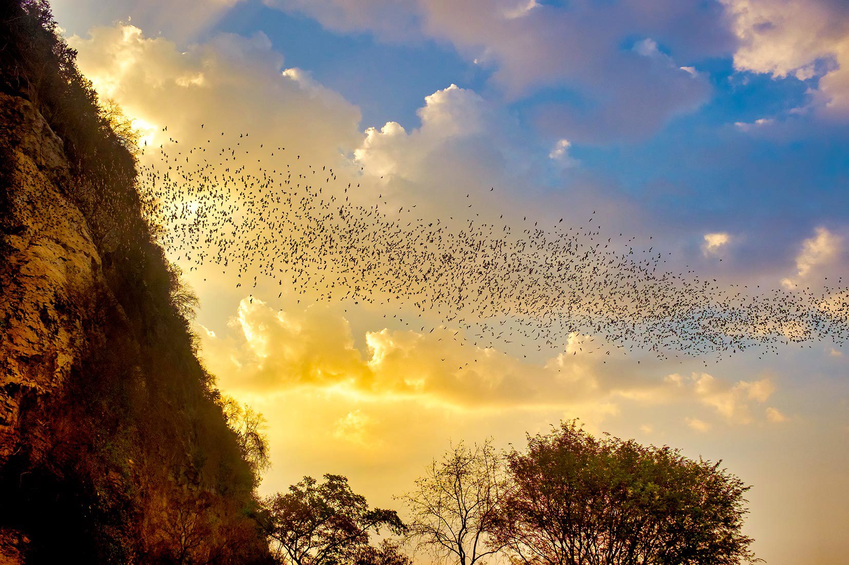 Catch a Stunning Sunset at Phnom Sampeau