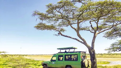 safari-car-parked-under-tree.jpg