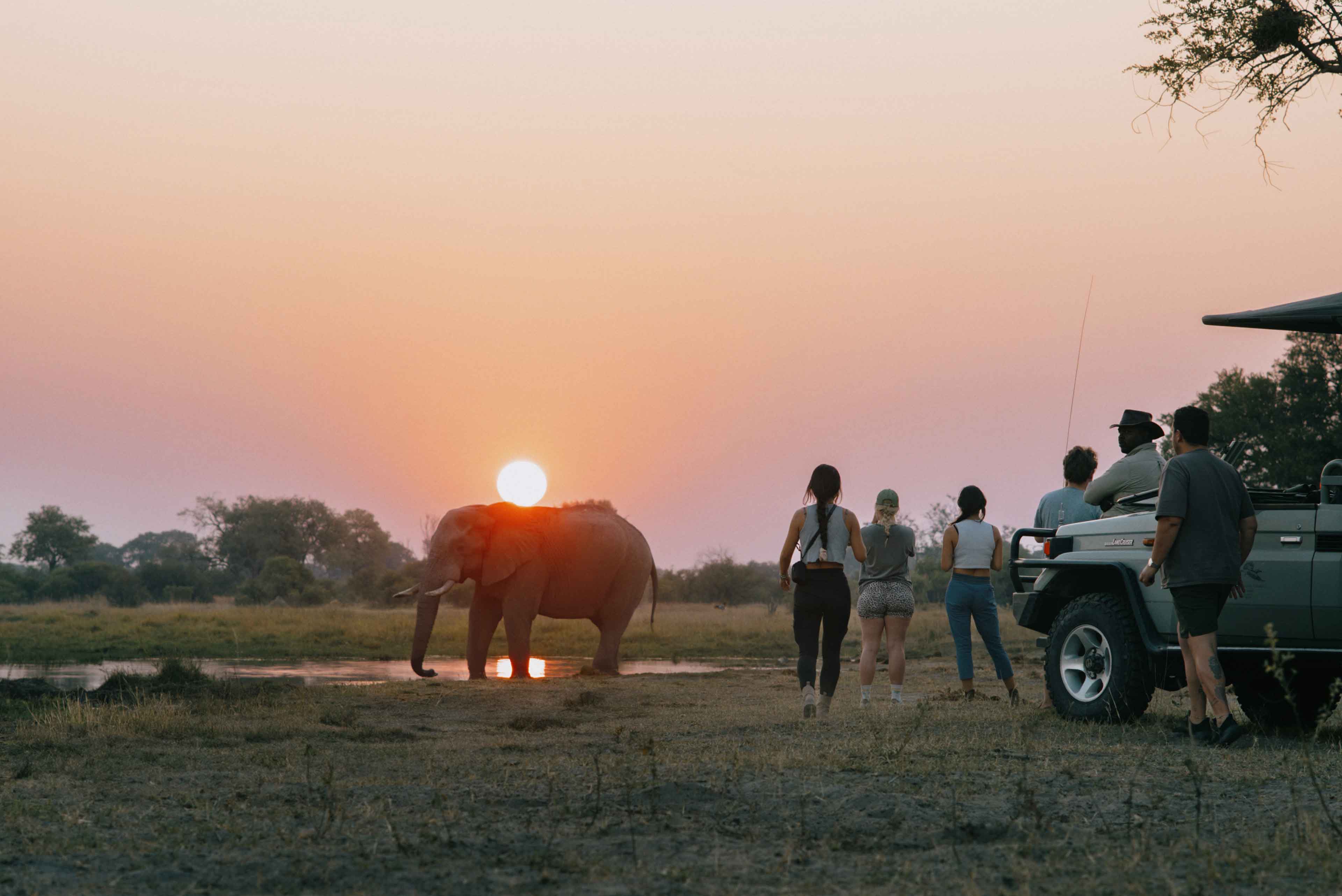 Delta Game Drive Sunset Elephant