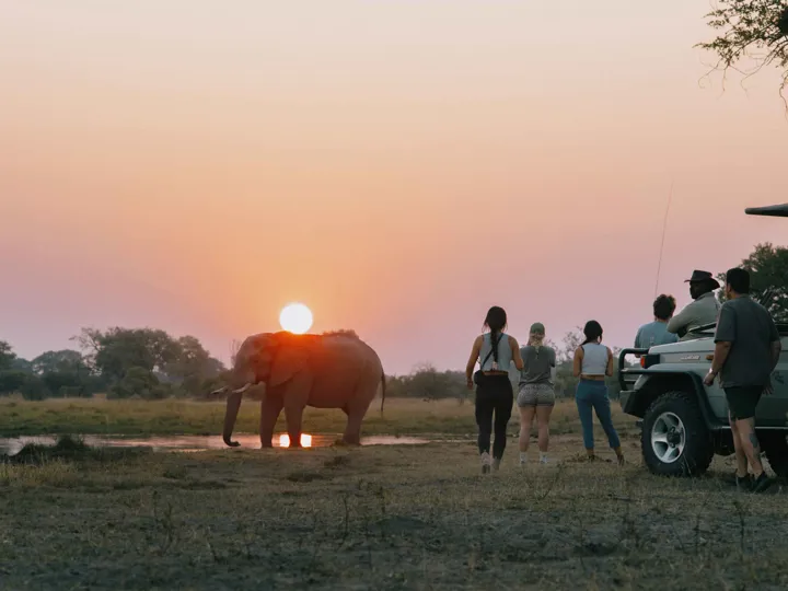 Delta Game Drive Sunset Elephant