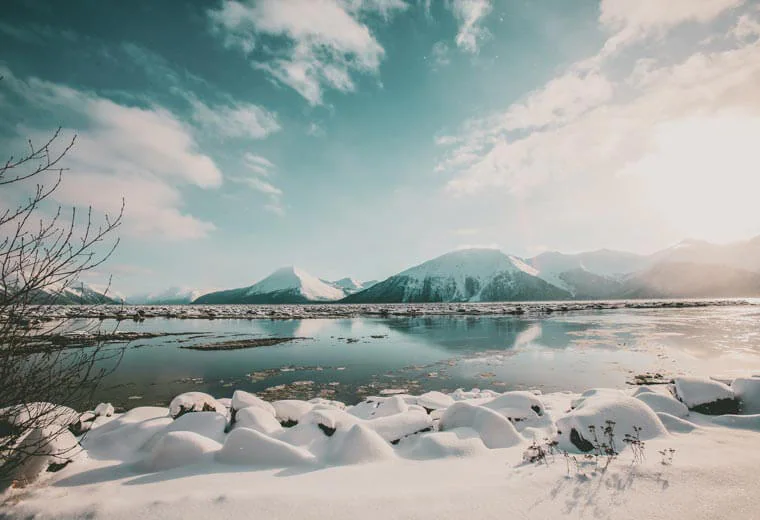 USA Tours, Trips & Vacations 2025 / 2025 Contiki