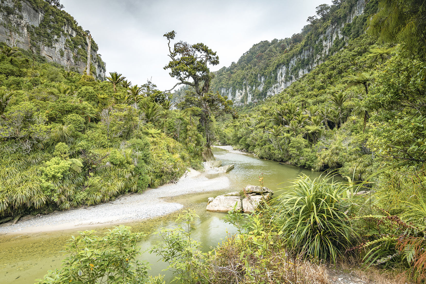 Hike the Paparoa Track
