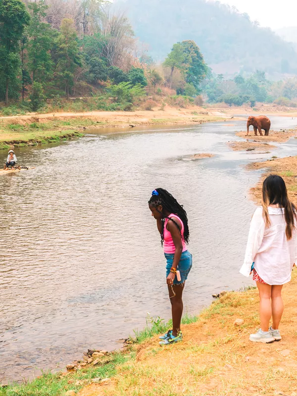 Travellers watching elephants and rafting at Elephant Nature Park, Chiang Mai, Thailand
