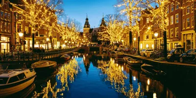 Golden Christmas fairy lights reflecting in an Amsterdam canal at night with the Rijksmuseum in the background - Contiki Netherlands Christmas Tour