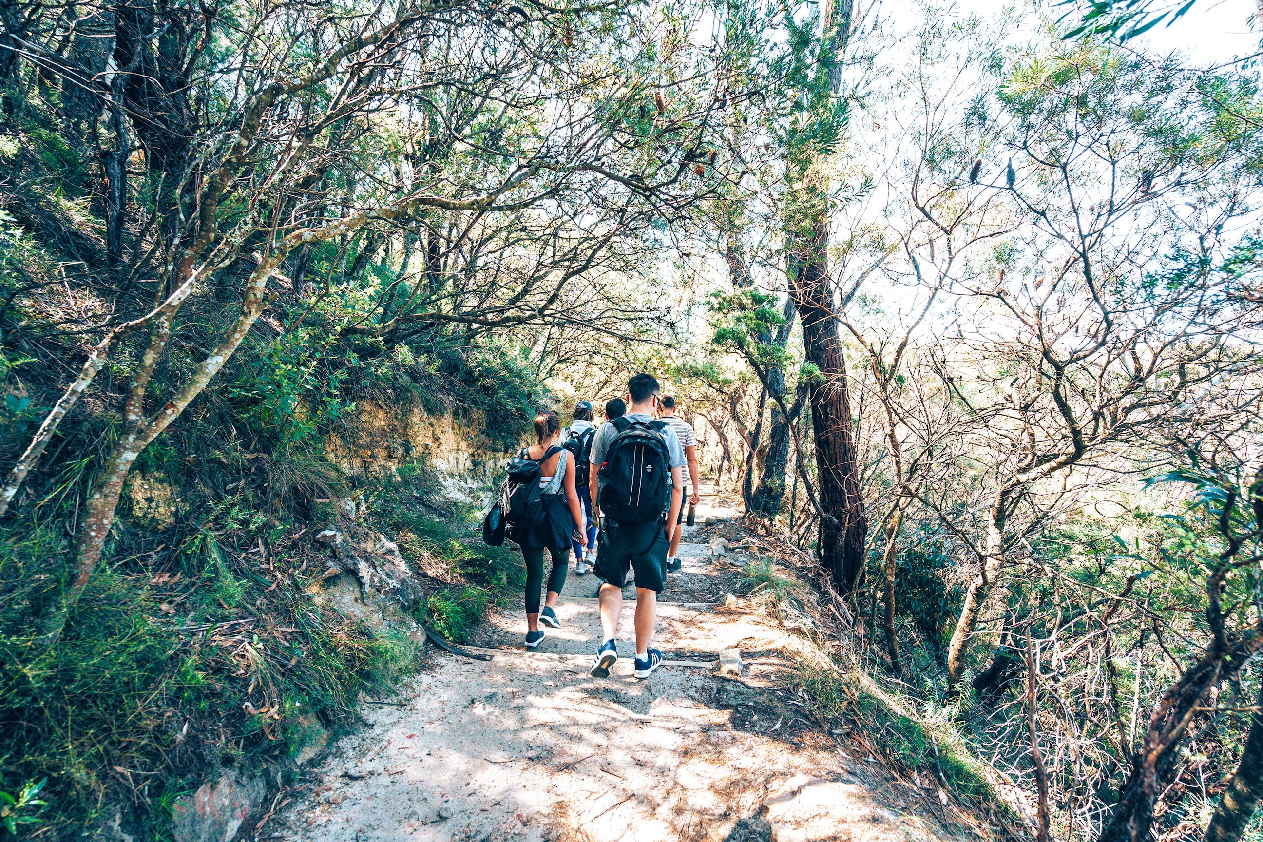 Day Trip to the Blue Mountains