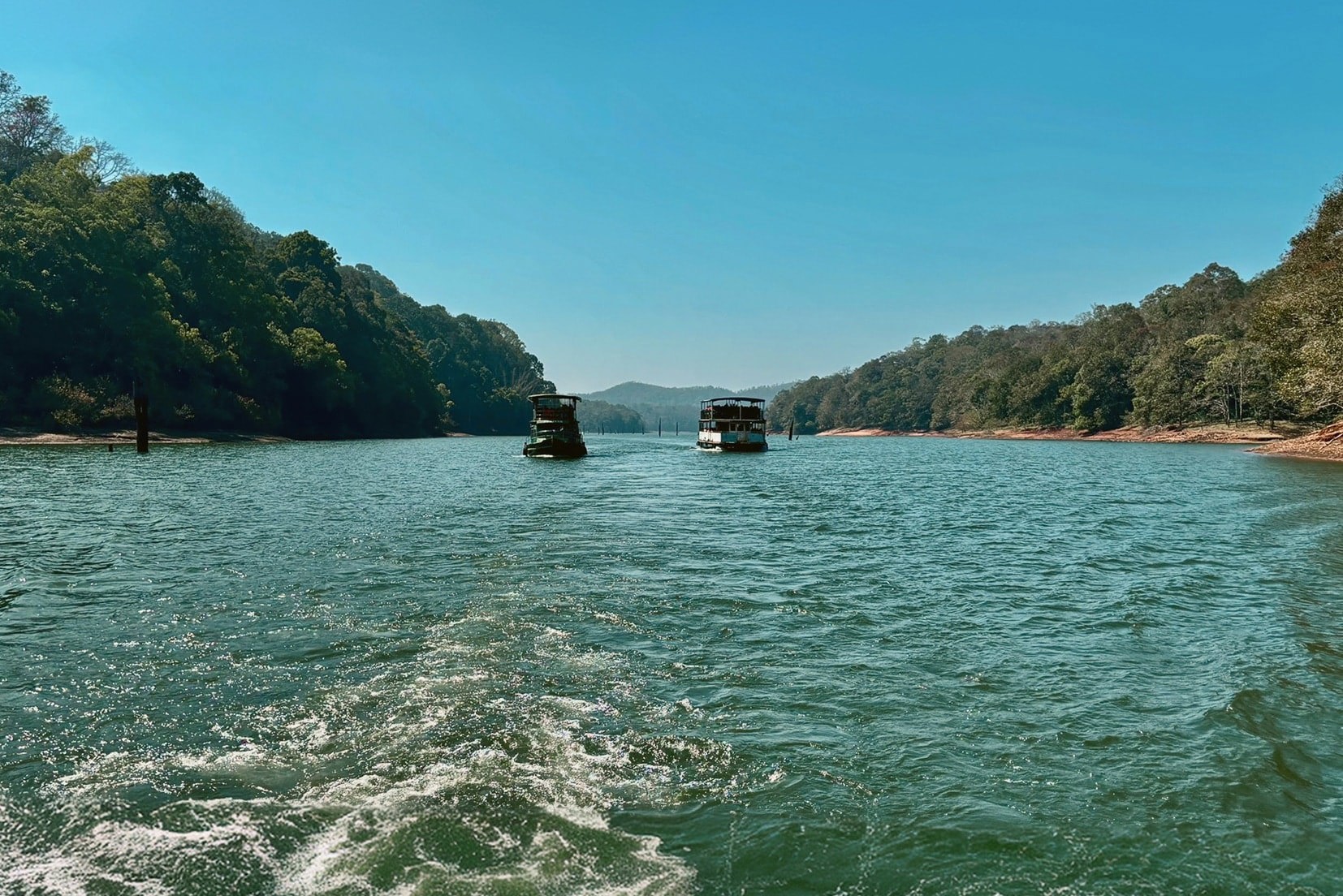 Cruise through Periyar National Park