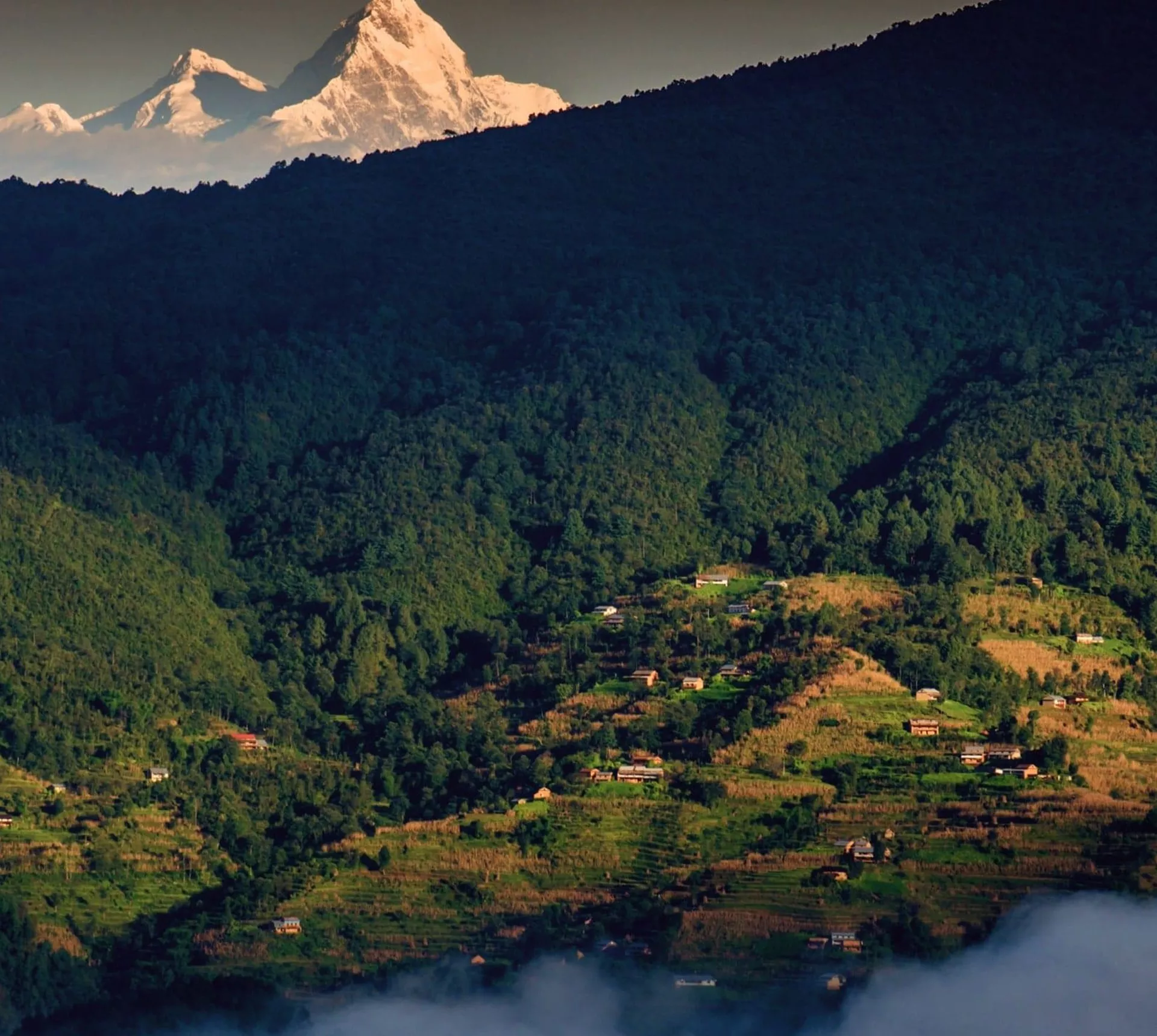 Snow-capped Himalayan peaks rise above forested hills and traditional villages in Nepal's Kathmandu Valley - Contiki Hiking the Kathmandu Valley Tour