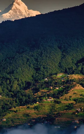 Snow-capped Himalayan peaks rise above forested hills and traditional villages in Nepal's Kathmandu Valley - Contiki Hiking the Kathmandu Valley Tour