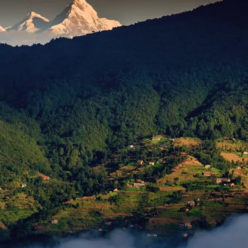 Snow-capped Himalayan peaks rise above forested hills and traditional villages in Nepal's Kathmandu Valley - Contiki Hiking the Kathmandu Valley Tour