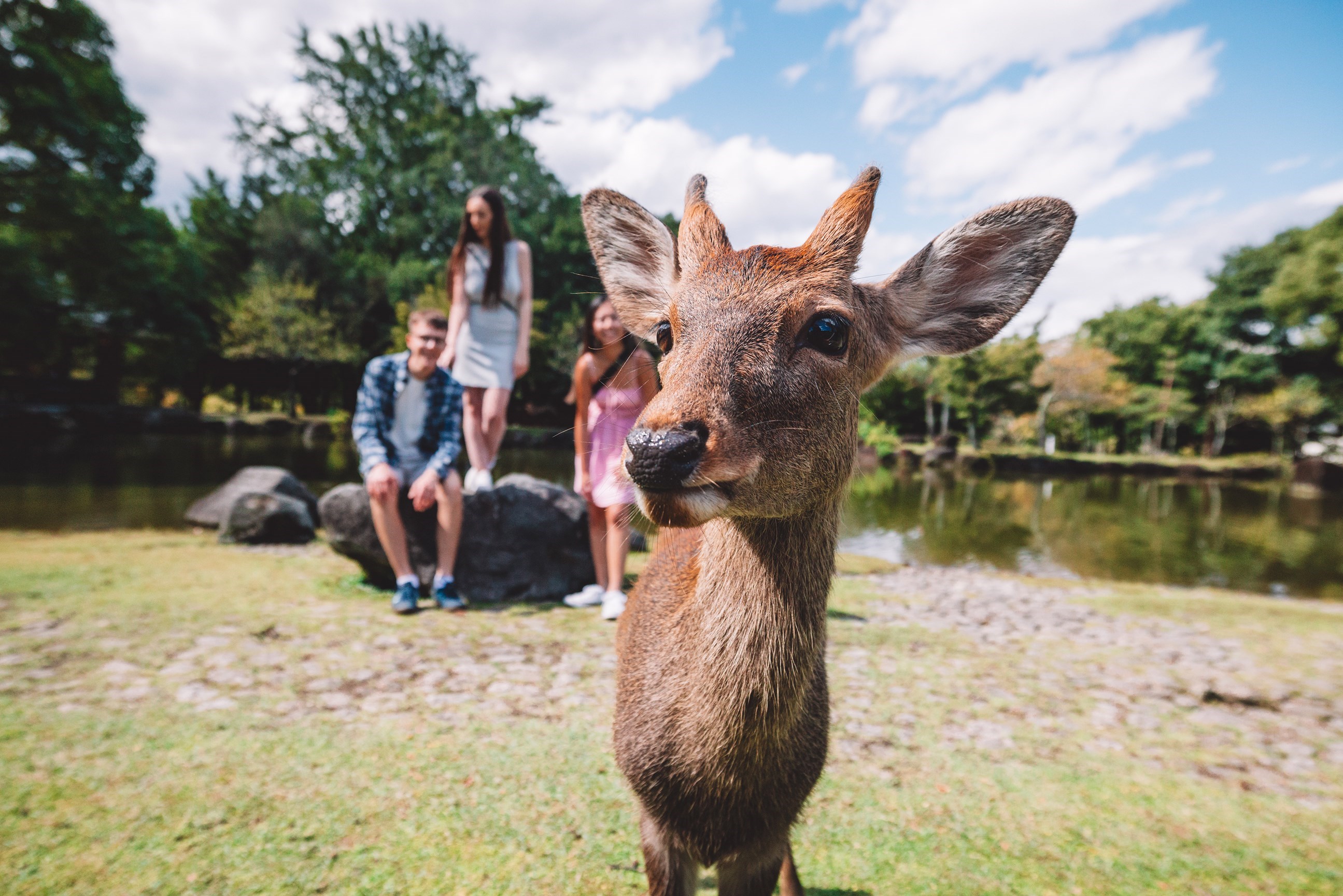 copy-of-498_contikijapan23_caitmiers_0y6a7628.jpg