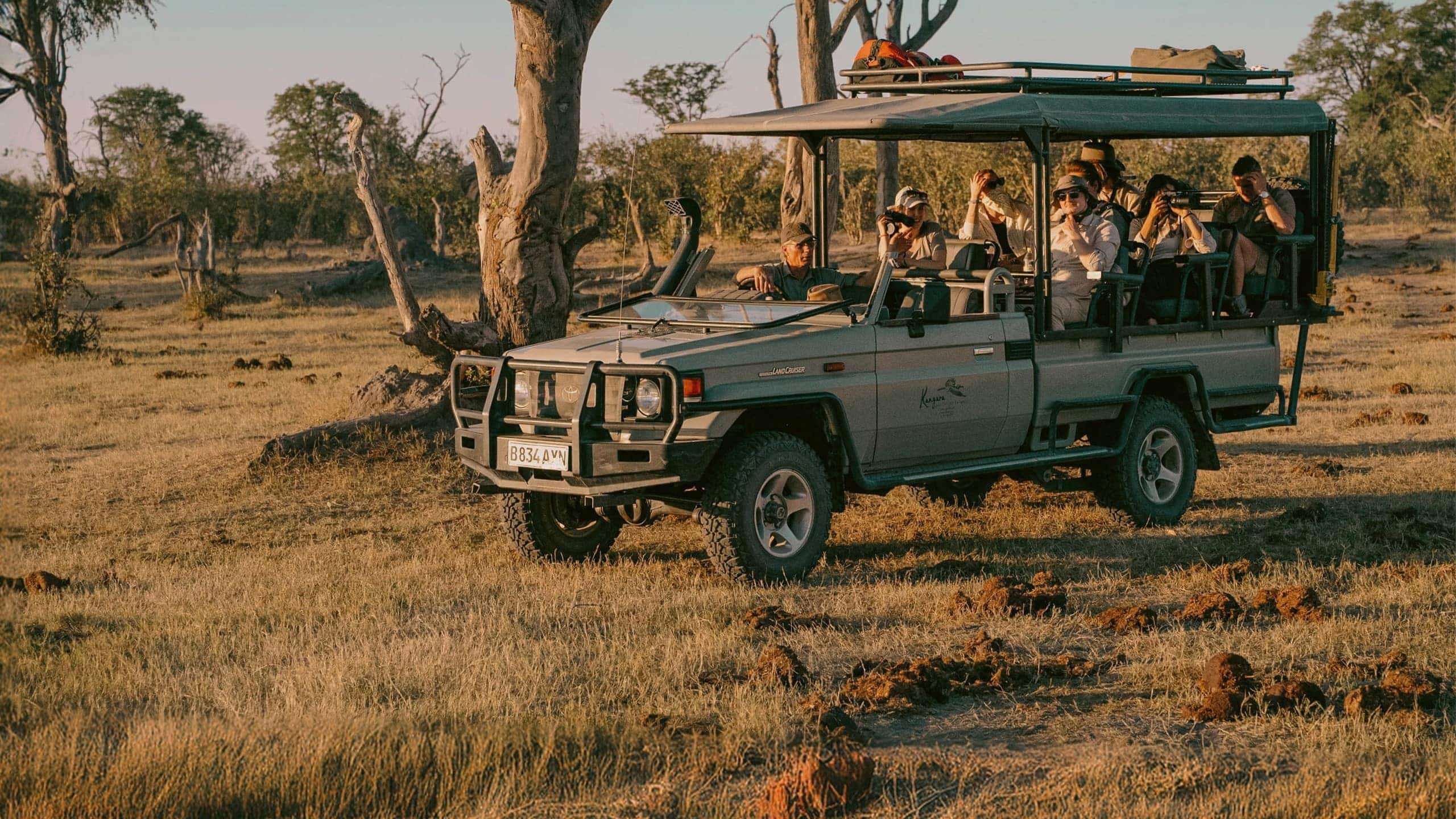 Travellers enjoy a wildlife safari in an open game drive vehicle on the Contiki Best of Botswana & Namibia Tour